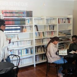 Alliance Française of Port Elizabeth Library